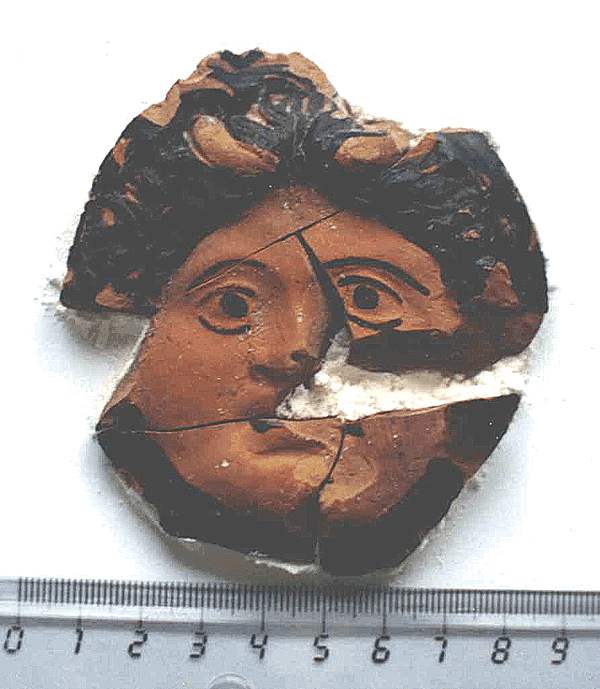 medusa1 c g