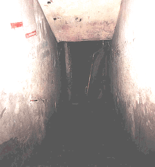 treppe g