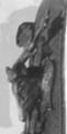 Klicke auf die Grafik für eine vergrößerte Ansicht

Name: Bandelier seitl..jpg
Ansichten: 108
Größe: 16,5 KB
ID: 1489643
