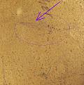 Klicke auf die Grafik für eine vergrößerte Ansicht

Name: Adler Teil 1.JPG
Ansichten: 101
Größe: 84,8 KB
ID: 1524284