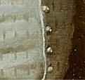 Klicke auf die Grafik für eine vergrößerte Ansicht

Name: Moroni_Detail.JPG
Ansichten: 141
Größe: 26,9 KB
ID: 1684987