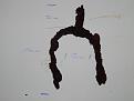 Klicke auf die Grafik für eine vergrößerte Ansicht

Name: DSCN0395.JPG
Ansichten: 100
Größe: 132,9 KB
ID: 1687496