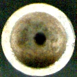Klicke auf die Grafik für eine vergrößerte Ansicht

Name: 03.jpg
Ansichten: 466
Größe: 13,5 KB
ID: 1766680