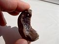 Klicke auf die Grafik für eine vergrößerte Ansicht

Name: piedra 009.jpg
Ansichten: 210
Größe: 48,6 KB
ID: 1776554