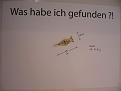 Klicke auf die Grafik für eine vergrößerte Ansicht

Name: 100.jpg
Ansichten: 308
Größe: 26,1 KB
ID: 1787247