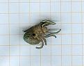 Klicke auf die Grafik für eine vergrößerte Ansicht

Name: Spinne2-1.jpg
Ansichten: 285
Größe: 13,0 KB
ID: 1822434