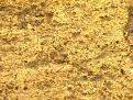 Klicke auf die Grafik für eine vergrößerte Ansicht

Name: ScherbeA, Gefüge auf Ofl.jpg
Ansichten: 578
Größe: 154,0 KB
ID: 1825710