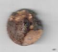 Klicke auf die Grafik für eine vergrößerte Ansicht

Name: knopfhinten.jpg
Ansichten: 281
Größe: 38,5 KB
ID: 1839223