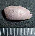 Klicke auf die Grafik für eine vergrößerte Ansicht

Name: Ufo2.jpg
Ansichten: 223
Größe: 180,5 KB
ID: 1865847