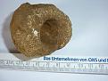 Klicke auf die Grafik für eine vergrößerte Ansicht

Name: bb.jpg
Ansichten: 154
Größe: 79,5 KB
ID: 1884994