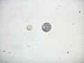 Klicke auf die Grafik für eine vergrößerte Ansicht

Name: weiss.JPG
Ansichten: 143
Größe: 106,2 KB
ID: 1890834