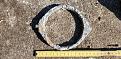 Klicke auf die Grafik für eine vergrößerte Ansicht

Name: ring.jpg
Ansichten: 359
Größe: 224,3 KB
ID: 1956431
