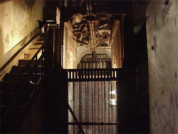 soetrich12 c g