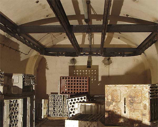 soetrich13 c g